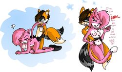 aeris_(vg_cats) anal anal_sex anal_sex breasts penetration rick2tails vg_cats