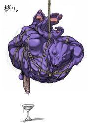 1boy balls black_panther bomb_(artist) bondage cock_and_ball_torture cum feline male male_only nude panther penis purple solo