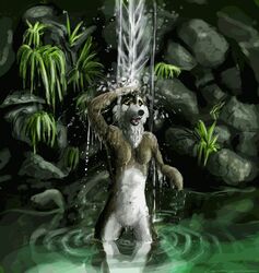 3d animated anthro canine female fur furry no_nipples nude waterfall wilkolaknerevar wolf