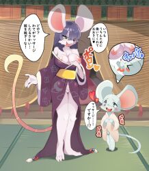 anthro areola big_ears biped blush breasts clothed clothing dialogue duo female flaccid fur genitals grey_body grey_fur hair hair_over_eye heart hi_res japanese_text larger_female long_hair male male/female mammal mouse murid murine nipples one_eye_obstructed open_clothing open_robe ouka penis pink_body pink_fur pussy robe rodent size_difference smaller_male speech_bubble standing text thought_bubble whiskers