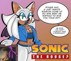 cleavage female genderswap_(mtf) huge_breasts rectangulariris rouge_the_bat rule_63 rule_63 sonic_(series) sonic_the_hedgehog thick_thighs wide_hips