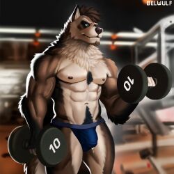 abs absurd_res anthro belwulf bicep_curl biceps blue_eyes bodily_fluids body_hair brown_body brown_fur bulge canid canine canis chest_hair chest_tuft chin_tuft clothed clothing dripping dumbbell exercise exercise_equipment eyebrows facial_hair facial_tuft fur genital_fluids genital_outline genitals goatee gym hair hi_res humanoid_genitalia humanoid_penis jockstrap jockstrap_only leaking_precum male male_only mammal mexican_wolf multicolored_body multicolored_fur muscular muscular_anthro muscular_male neck_tuft nipples pecs penis penis_outline precum precum_drip precum_through_clothing precum_through_underwear pubes sade_(canonical) solo solo_focus tail thick_eyebrows topless tuft two_tone_body two_tone_fur underwear underwear_only vein veiny_muscles weightlifting weights wet wet_clothing white_body white_fur wolf workout