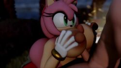 3d 3d_(artwork) amy_rose animated anthro big_breasts breast_play breasts digital_media_(artwork) duo eulipotyphlan female hedgehog huge_breasts human_on_anthro male male/female mammal mayabear mobian_(species) mobian_hedgehog nude outside outside_sex paizuri sega sex sonic_(series) sonic_adventure sonic_the_hedgehog_(series) sound sound_warning tagme titjob unseen_male_face video