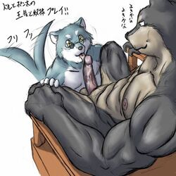 anthro black_nose bomb_(artist) canine chair couple doberman erection fur furry furry_only gay glasses happy happy_tail male muscles oral penis sitting yellow_eyes