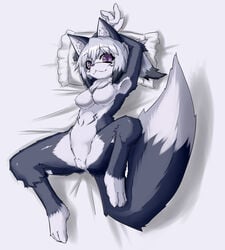 anthro armpits blue_fur breasts canine compression_artifacts female fox fur furry grey_hair hair looking_at_viewer no_nipples nude on_back original_character pillow purple_eyes pussy sakamata_orca short_hair smile solo spread_legs spreading tail