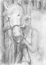 equine feral foxia hare horse lagomorph nude