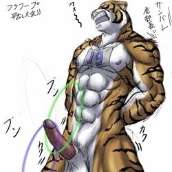 1boy angry anthro balls bomb_(artist) erection feline fur furry hula_hoop male male_only navel nude penis ring_toss solo stripes tiger