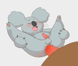 anal anal_sex balls bear cartoon_network closed_eyes duo grizzly_(wbb) grizzly_bear koala male mammal marsupial nom_nom_(character) penetration penis therita3k we_bare_bears yaoi