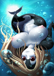 anthro blonde_hair breasts bubble bubbles cetacean female furry hair homura killer_whale large_breasts long_hair looking_at_viewer mammal marine mermaid monster_girl nipples orca plump pussy red_eyes solo sunlight swimming underwater water yaise