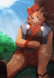 2023 anthro balls bear brown_body detailed_background flaccid genitals hi_res inugamihito kemono male mammal oosumi_(tamacolle) outside overweight overweight_male penis sitting solo tamacolle young