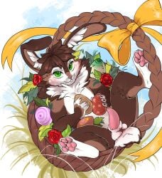 adult_(lore) anthro ball_tuft balls basket blush bow_ribbon brown_body brown_fur chest_tuft cinna_(crimsir) cokc container easter easter_egg egg flower fur genitals gimka green_eyes hi_res holding_egg holding_object holidays lagomorph leporid lying male mammal neck_tuft on_back painted_eggs pawpads penis plant rabbit rose_(flower) smile solo tail tapering_penis tuft white_body white_fur young