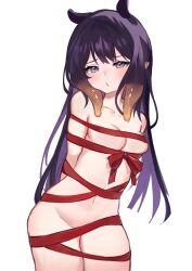 1girls belly_button covered_nipples female female_only hololive hololive_english hololive_myth light-skinned_female light_skin ninomae_ina'nis purple_eyes purple_hair restrained simple_background small_breasts solo tentacle_hair virtual_youtuber white_background woppu_(woppuru) wrappings