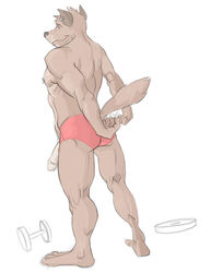 1boy anthro ass canine canson ear_piercing flaccid fur furry male male_only muscles penis piercing pose solo underwear white_background wolf