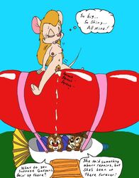 alex_reynard anthro balloon balloon_fetish chip chip_'n_dale_rescue_rangers dale disney fur furry gadget_hackwrench mouse pussy pussy_juice rodent what