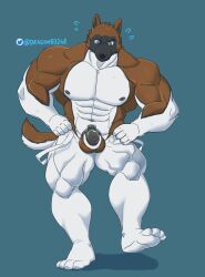 2023 abs anthro balls barechested biceps blue_background blue_eyes bodily_fluids bottomwear canid canine chastity_cage chastity_device clothed clothing deltoids dragon0324r furry genitals hi_res looking_at_crotch male mammal manly metal_chastity_cage muscular navel nipples obliques pants pecs penis shirtless shirtless_male simple_background solo standing sweat sweatdrop tight_bottomwear tight_clothing tight_pants topless topless_male triceps