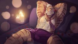 abs arms_behind_head beard bed bedroom bedroom_eyes bulge bulge_through_clothing candles currycatz necklace one_eye_closed orange_fur purple_eyes purple_underwear ring rose rose_in_mouth sileo:_tales_of_a_new_dawn stripes stripes_(marking) tai_(sileo) tie tiger wink