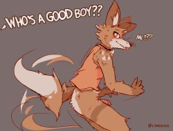 2023 anthro ass biped black_nose blep blush brown_body brown_fur canid canine canis cantio_(lawyerdog) claws coyote digital_media_(artwork) ear_twitch erection finger_claws fur genitals good_boy grey_background humanoid_genitalia humanoid_penis lawyerdog male mammal multicolored_body multicolored_fur penis simple_background smile solo tail tail_motion tailwag tan_body tan_fur tongue tongue_out white_body white_fur