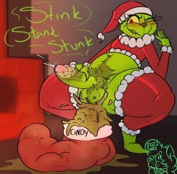 dirty_cock dr_seuss grinch how_the_grinch_stole_christmas male male_only scat smegma smell smelly smelly_cock stocking tagme zadirtybish