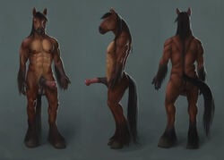 1boy 2011 anthro anus backsack balls black_hair brown brown_eyes equine erection hair hooves horse horseballs horsecock looking_at_viewer male male_only mane morticus multiple_angles muscles nipples nude penis solo standing tail