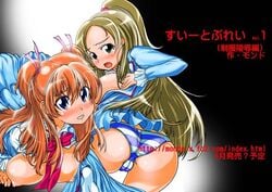 clothing hibiki_hojo large_breasts minamino_kanade mondo_(artist) panties precure pretty_cure suite_precure tagme