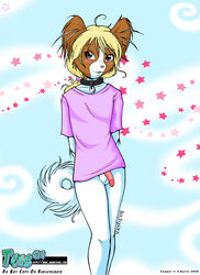 anthro blush bottomless canine collar copper femboy fur furry half_nude looking_at_viewer male papillon penis solo vkyrie