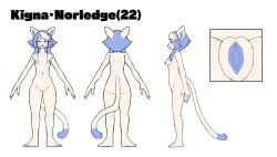 anthro domestic_cat felid feline felis female furry karanuki kigna mammal sex solo tomboy