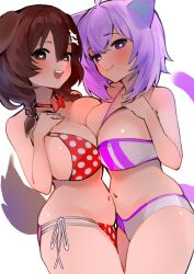 inugami korone from hololive by dismassd