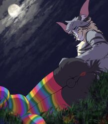 anthro anus ass balls blue_eyes clothing cloud felid feline genitals grass grin legwear light looking_at_viewer male mammal moon moonlight multicolored_clothing multicolored_legwear multicolored_stockings night plant presenting presenting_hindquarters rainbow_clothing rainbow_legwear rainbow_stockings ryme sky smile solo star starry_sky stockings