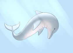 animal_genitalia cetacean countershading dolphin feral fin genital_slit genitals hi_res light light_beam male mammal marine slightly_chubby slit smile solo sunbeam sunlight tail tail_fin toothed_whale underwater water