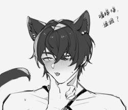 1boy 1other acer_findo ambiguous_gender animal_ears black_hair cat_boy cat_ears catboy disembodied_hand male male_focus marius_von_hagen mihoyo monochrome short_hair solo_focus tears_of_themis