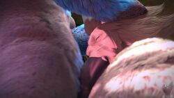 2boys 3d 3d_animation animated anthro bara deepthroat fellatio final_fantasy final_fantasy_xiv gay hand_on_head hrothgar male/male male_only no_humans oral oral_sex shorter_than_one_minute sound tagme twitchyanimation video