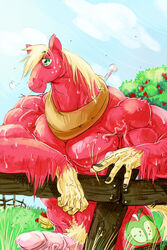 anthro apple big_macintosh_(mlp) blonde_hair closed_mouth cutie_mark day earth_pony equine erection fence friendship_is_magic fur furry_ears grass green_eyes hair horse male male_only mammal manly mouth_hold muscles muscular my_little_pony nude open_eyes outdoors penis pointy_ears pony precum red_fur sky smile solo stagor55 standing straight_hair sweat tail what