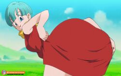 bulma_briefs dragon_ball_super foxybulma pussy skirt