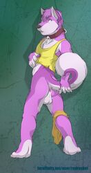 anthro anus balls bottomless canine collar fur furry husky legs male_only offering pkay pucker purple redrusker shirt spreading tail