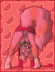 anthro ass_up aycee bent_over blush breasts canine ear_piercing earrings female fox fur furry furry_ears furry_tail heart looking_at_viewer nipples panties piercing skirt tail underboob underwear watermelon