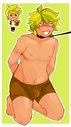 bulge cookie_run heart-shaped_pupils herb_cookie leash underwear yaoidevil911