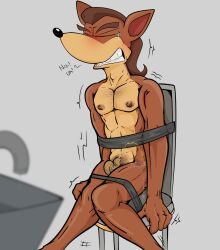 1boy activision anthro balls blush chair crash_(series) crying fur furry furry_only gay genitals hi_res illegaleel male male_only nipples peeing penis pinstripe_potoroo restraints shaking sitting solo tagme urine video_games yaoi