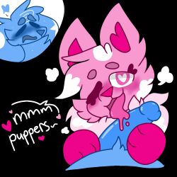 animation_meme_community blue_fur fluffen_(kittydogcrystal) furry heart-shaped_pupils kittydog_(species) kittydog_fanart looking_pleasured male/female meloucan meloucannsfw oral oral_sex penis pink_fur puppers_(kittydogcrystal)