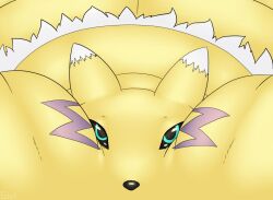 bbw black_sclera blob blue_eyes digimon digimon_(species) fat fat_cheeks female fox fox_girl grinex kissing_viewer pov renamon ssbbw weight_gain yellow_fur