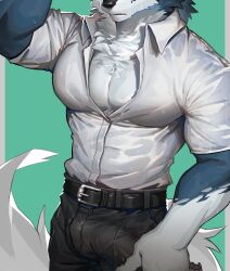 absurd_res anthro bottomwear bulge canid canine canis clothed clothing dress_shirt erection erection_under_clothing genital_outline hair hi_res male mammal multicolored_body muscular muscular_male pants pecs penis_outline shirt solo tail topwear ty_arashi wet wet_clothing wolf