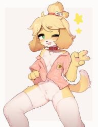 animal_crossing animal_ears bell belt_collar blonde_hair blush bottomless breasts censored chinese_commentary claws collar commentary_request crayon_(artist) crayon_(crayon1006) cute dog_ears dog_girl dog_tail feet_out_of_frame fewer_digits furry furry_female green_eyes hair_bell hair_ornament highres isabelle_(animal_crossing) jingle_bell medium_breasts mosaic_censoring nintendo one_eye_closed open_mouth pink_shirt pussy red_collar shirt short_hair spread_legs star_(symbol) tail teeth thighhighs two-tone_fur unbuttoned unbuttoned_shirt upper_teeth_only v white_fur white_thighhighs yellow_fur