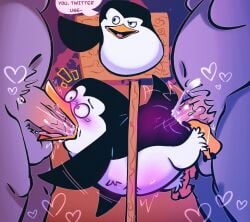 anthro avian balls beak belly bird blush bodily_fluids cum cum_in_ass cum_inside cum_while_penetrated dreamworks english_text erection fellatio genital_fluids genitals group hi_res humor madagascar_(series) male male/male male_penetrated male_penetrating male_penetrating_male meme navel oral penetration penguin penile penis salamikii sex skipper_(madagascar) spitroast text the_penguins_of_madagascar through_wall trio