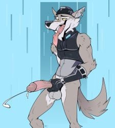 anthro balls canid canine canis dragondrawer ear_piercing epic_games fortnite genitals hi_res humanoid_genitalia humanoid_penis male mammal masturbation penile penile_masturbation penis piercing solo tongue tongue_out wendell_(fortnite) wolf