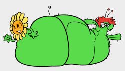 ass belly belly_bump belly_expansion big_belly bumping_asses butt_bump cactus cactus_(pvz) fat fat_fetish fetish flower flower_girl octoguy45 overweight overweight_female plant plant_girl plants_vs_zombies popcap_games pvz stomach sunflower sunflower_(pvz)