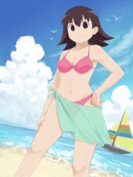 1girls azumanga_daiou beach bikini breasts brown_eyes brown_hair cleavage confident female female_only hand_on_hip hand_on_leg hand_on_own_leg hand_on_own_thigh hand_on_thigh highres looking_at_viewer medium_breasts medium_hair navel ocean pink_bikini pose posing sarong smile solo swimsuit swimwear tomo_takino water