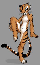 breasts dreamworks felid feline female fur genitals hi_res jupiterorange kung_fu_panda looking_at_viewer mammal master_tigress nipples nude on_one_leg pantherine pussy small_breasts smile solo spread_legs spreading standing tiger tomboy