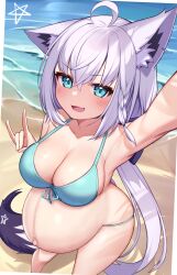 3rd_party_edit ahoge animal_ear_fluff animal_ears arm_up armpits bangs beach bikini blue_bikini blue_eyes blush braid breasts cleavage day deaver ear_piercing female fox_ears fox_girl fox_shadow_puppet fox_tail from_above front-tie_bikini front-tie_top hair_between_eyes halterneck hand_up hololive hololive_gamers hololive_gen_1 hololive_japan large_breasts long_hair looking_at_viewer open_mouth outdoors piercing pregnant selfie shirakami_fubuki sidelocks single_braid skin_fang smile solo standing string_bikini swimsuit tail very_long_hair virtual_youtuber water white_hair