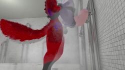 3d against_wall anal anal_sex animal_genitalia animal_genitals animal_penis animated anthro anthro_only awtter balls blue_markings blue_penis canid canine canine_genitalia canine_genitals canine_penis duo duo_focus erect erect_penis erection fox fur furry furry_only grunting inside knot legs_spread locker_room male male/male male_only moaning moaning_in_pleasure mp4 naked nude panting penis public_sex public_shower public_use rain_jur red_fox red_fur rexouium sex short_playtime shower_sex showering softdiamond sound spread_legs standing swinging_balls twitter url video vr_media vrchat vrchat_avatar water white_belly