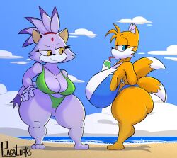 beach bikini blaze_the_cat breasts cleavage fat feline female female_focus fox_ears furry huge_breasts orange_fur plaga purple_fur rule_63 sega sonic_(series) sonic_the_hedgehog_(series) tails tailsko thick_thighs thighs wide_hips