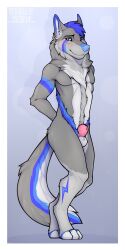 1:2 anthro balls blush border canid canine canis chastity_cage chastity_device clyde_wolf digital_media_(artwork) fur genitals hi_res male mammal nude purple_chastity_cage simple_background solo submissive submissive_male white_border wolf